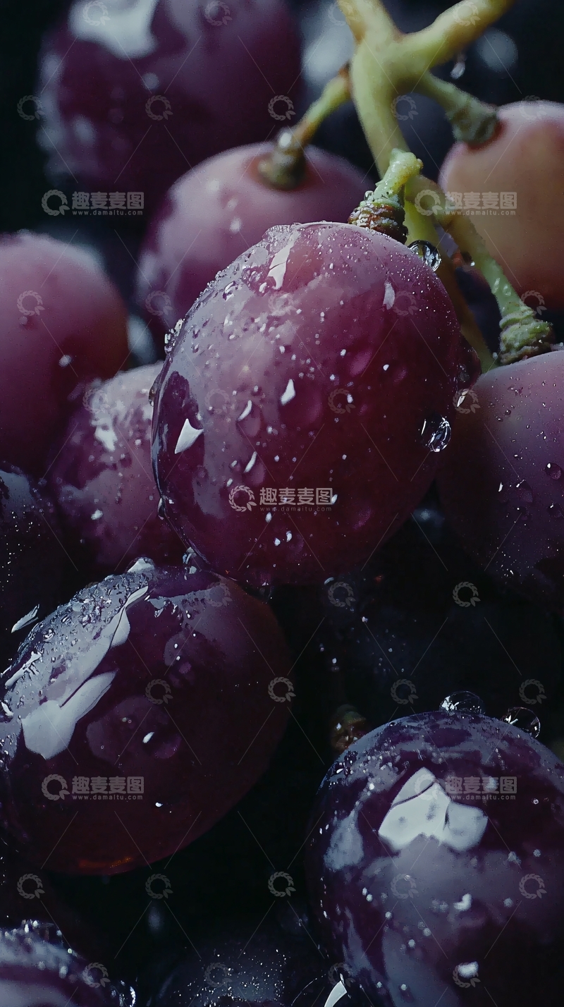 高清大图下载【趣麦麦图】紫红色水珠葡萄特写