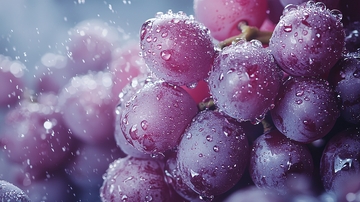 水珠覆盖的红葡萄