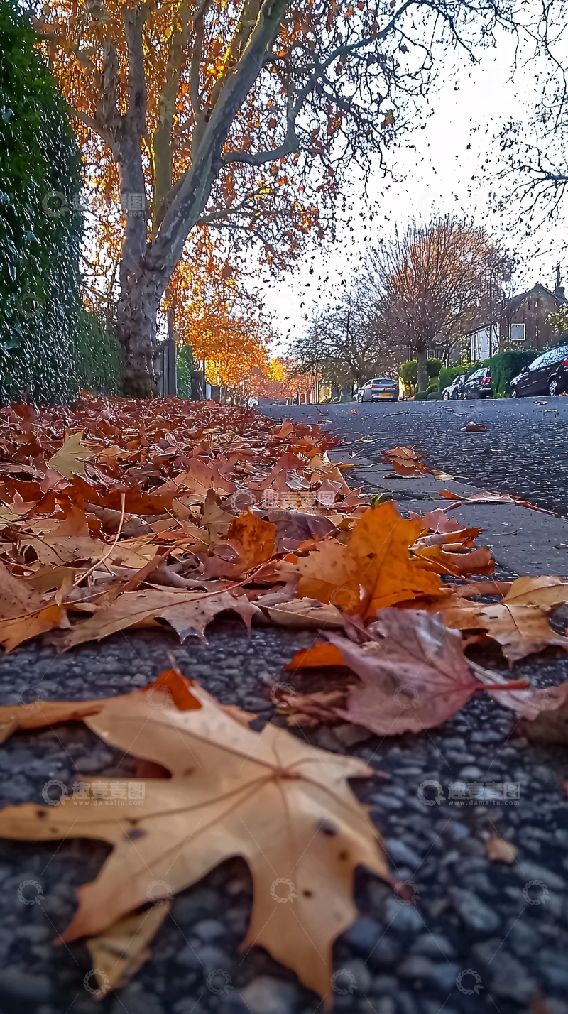 高清大图下载【趣麦麦图】秋叶街道