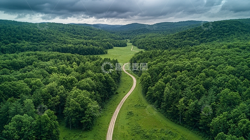 高清大图下载【趣麦麦图】绿色森林中的蜿蜒小路