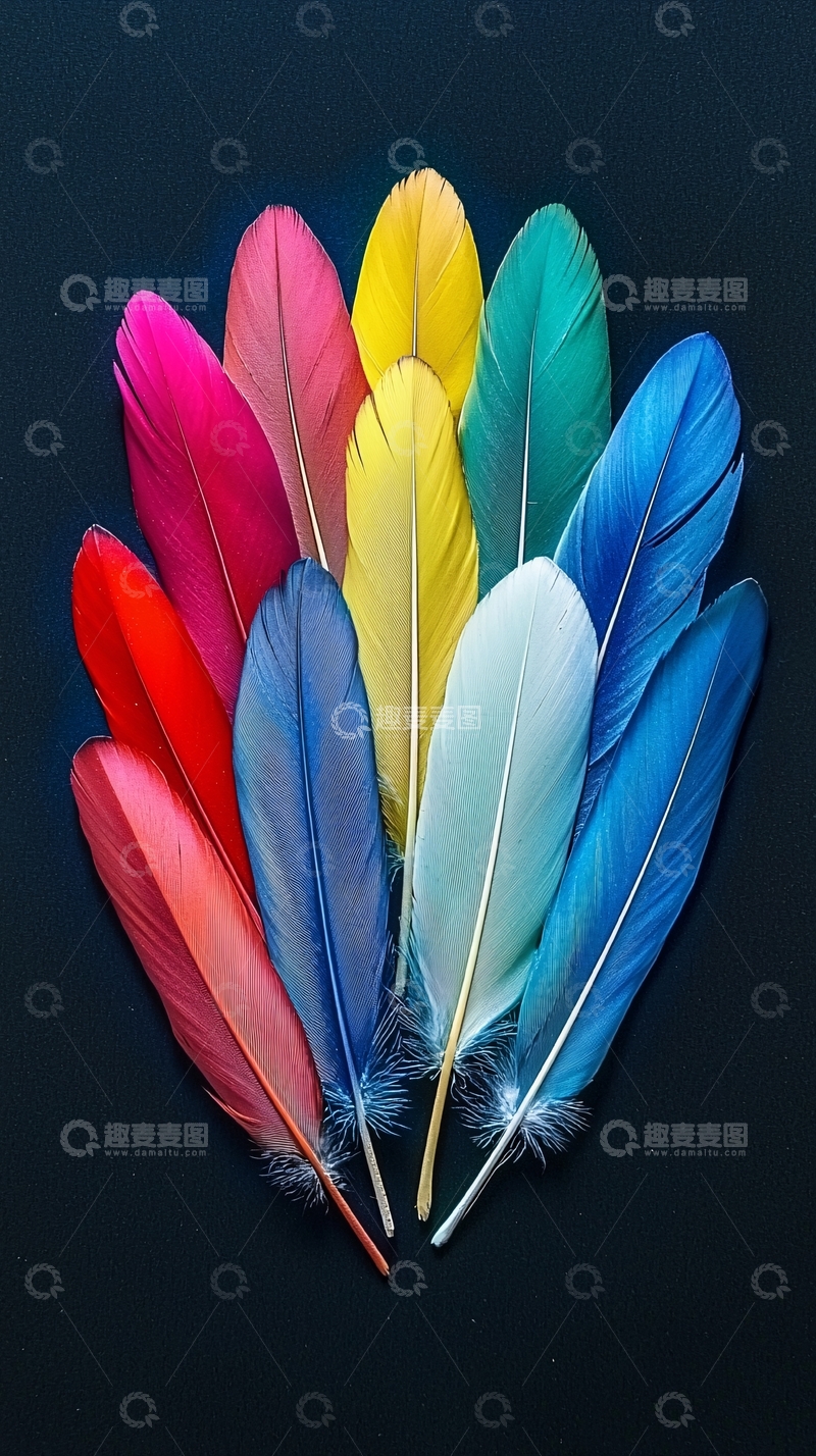 高清大图下载【趣麦麦图】彩色羽毛