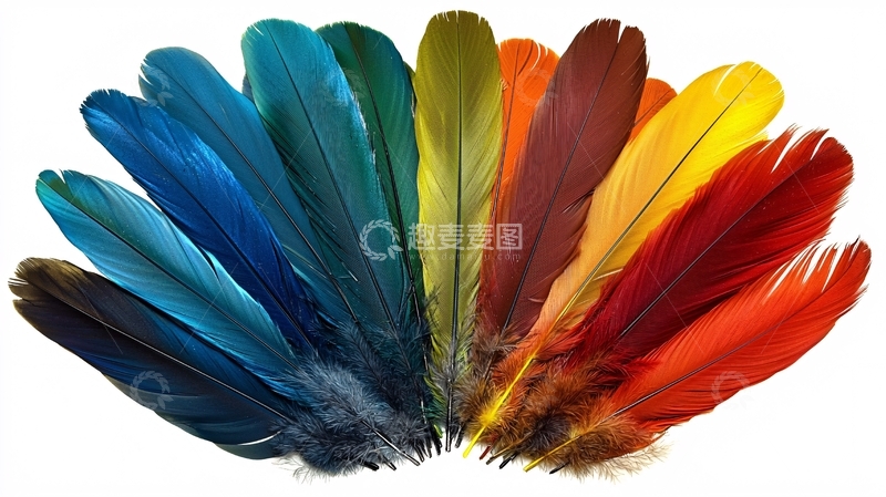 高清大图下载【趣麦麦图】彩虹色羽毛扇形排列