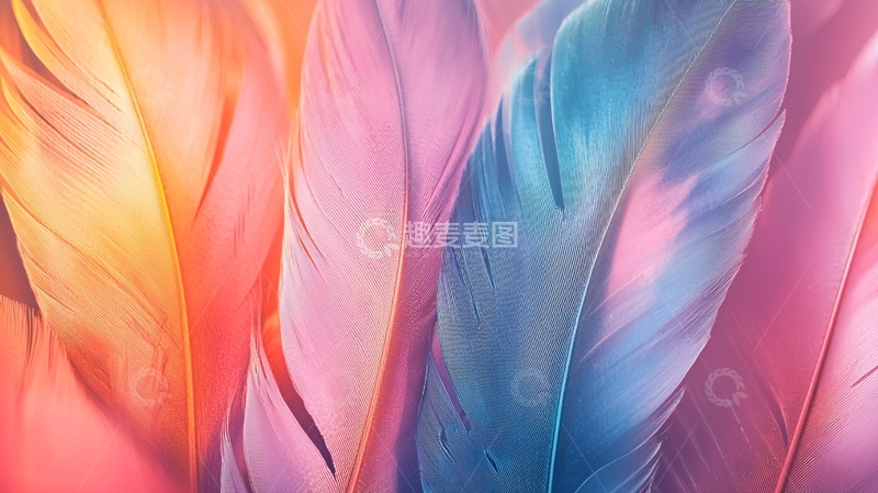 高清大图下载【趣麦麦图】彩虹色羽毛