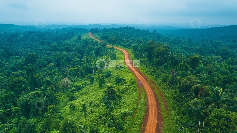 高清大图下载【趣麦麦图】蜿蜒的泥路穿过茂密森林