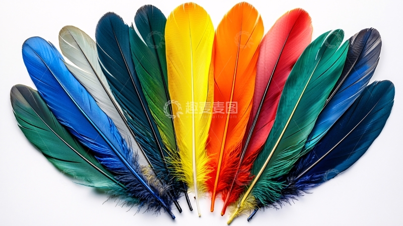 高清大图下载【趣麦麦图】彩色羽毛扇形排列
