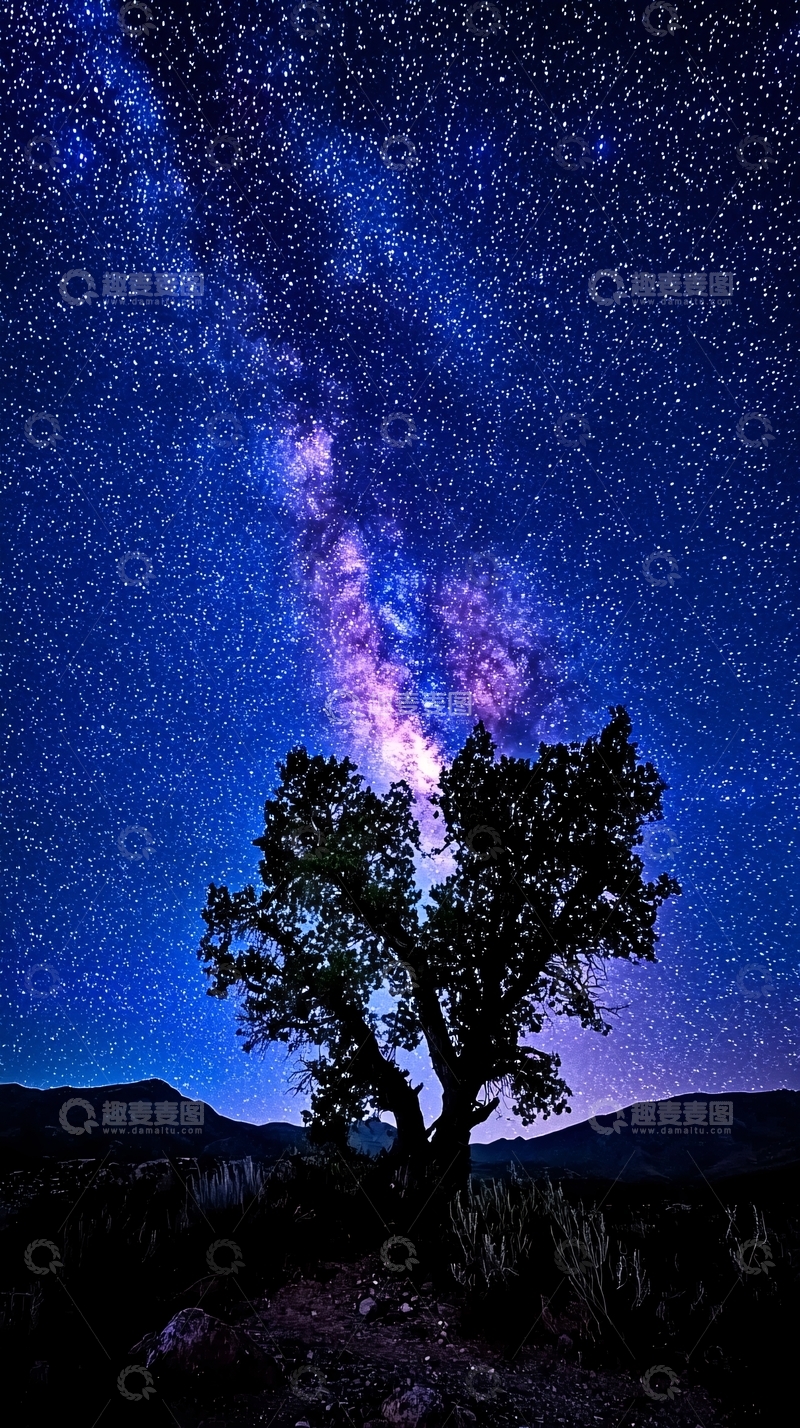 高清大图下载【趣麦麦图】星空树影