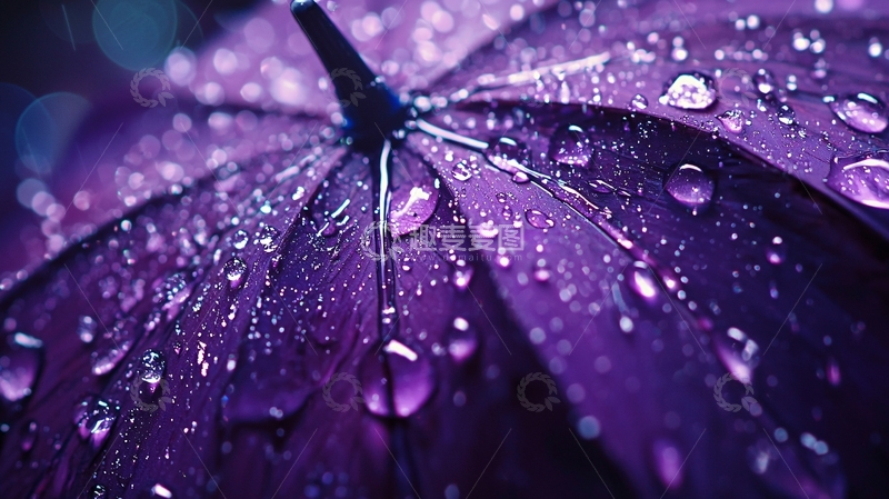 高清大图下载【趣麦麦图】雨天紫色雨伞特写