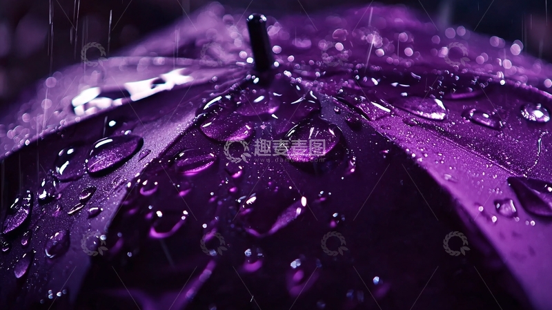 高清大图下载【趣麦麦图】雨天紫色雨伞特写