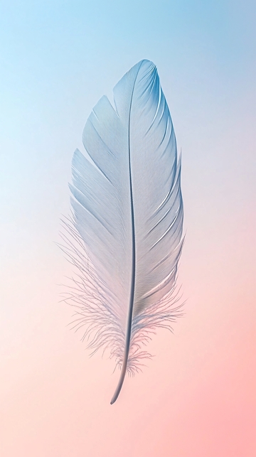 蓝色粉色渐变背景羽毛