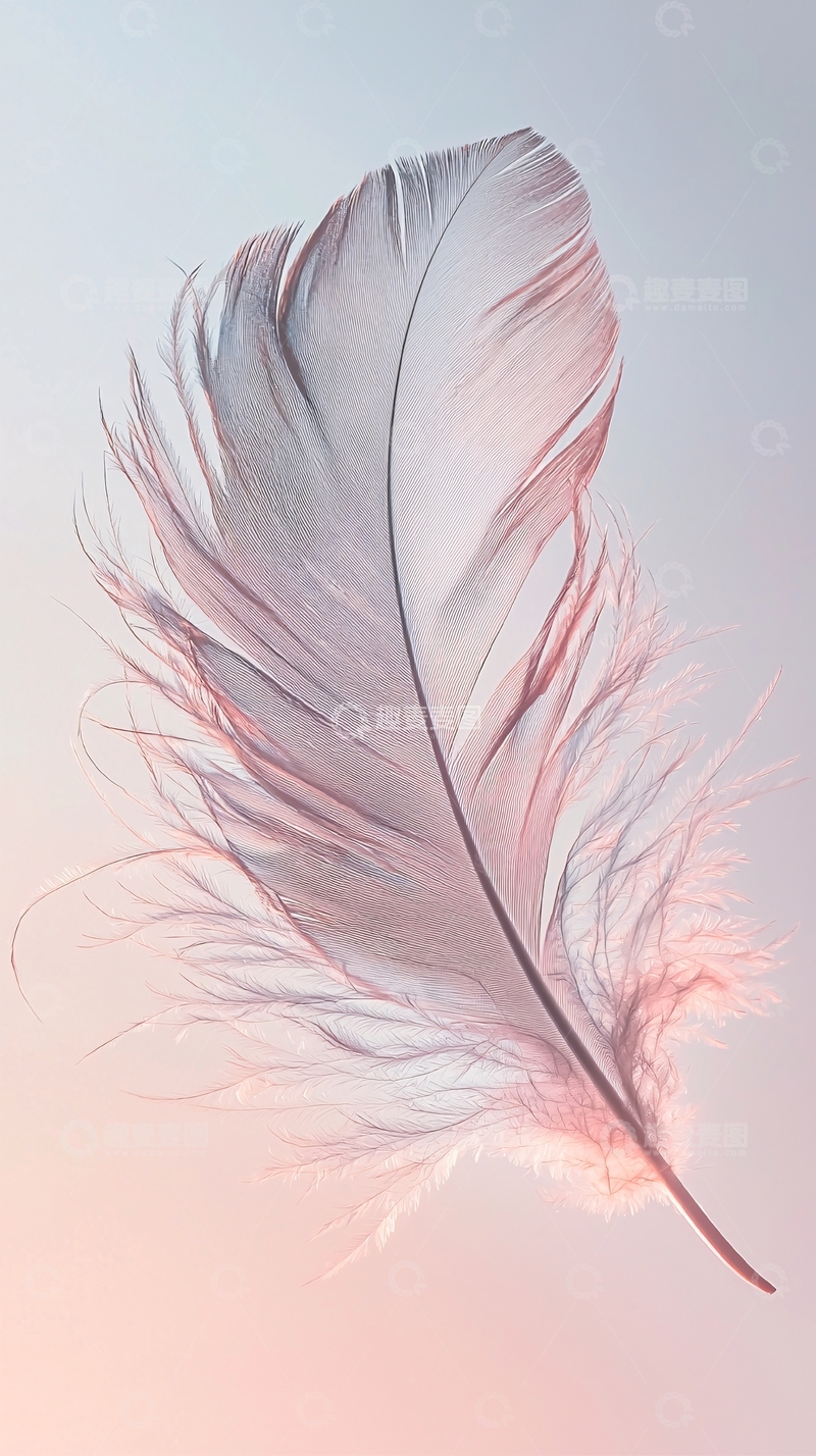 高清大图下载【趣麦麦图】轻柔粉色羽毛