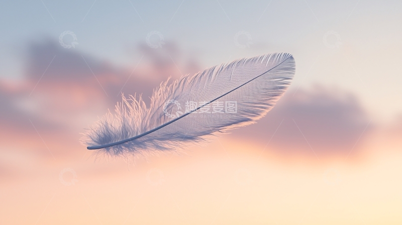高清大图下载【趣麦麦图】轻柔飘逸的白色羽毛