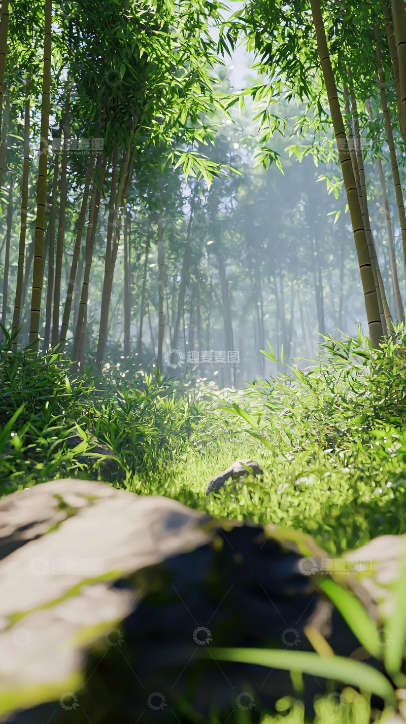 高清大图下载【趣麦麦图】阳光透过竹林