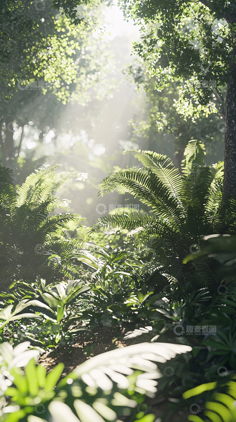 高清大图下载【趣麦麦图】阳光透过树林