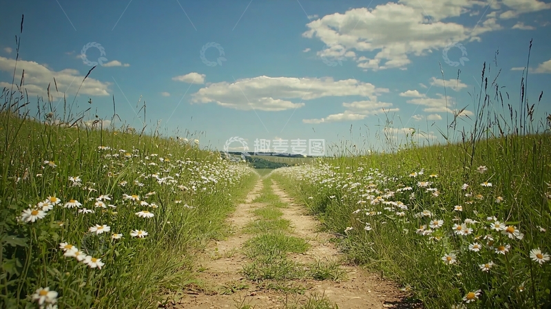 高清大图下载【趣麦麦图】田间小路