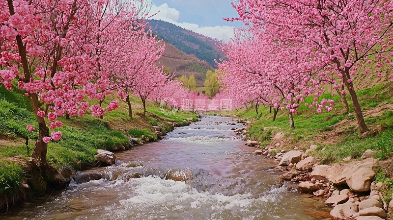 高清大图下载【趣麦麦图】粉色桃花溪流