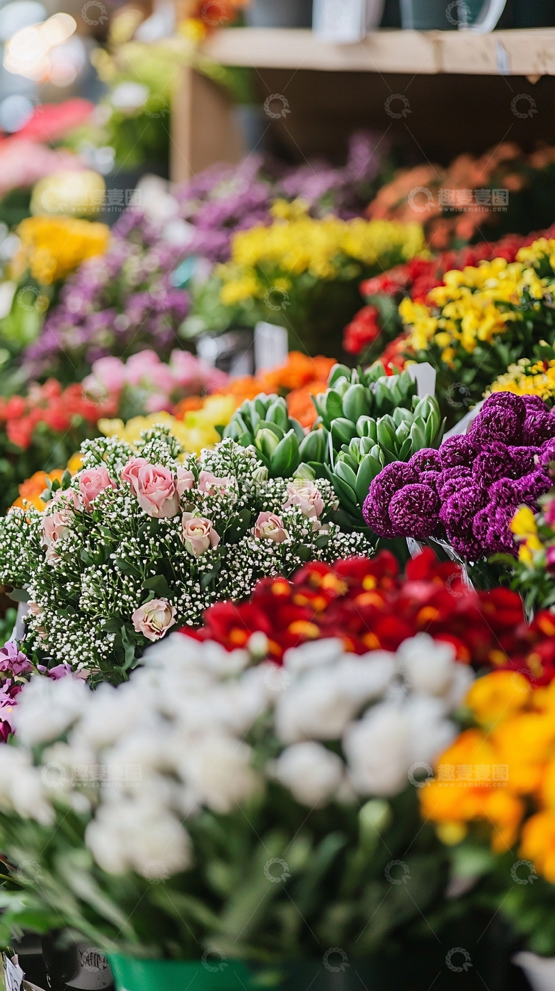 高清大图下载【趣麦麦图】鲜花市场琳琅满目