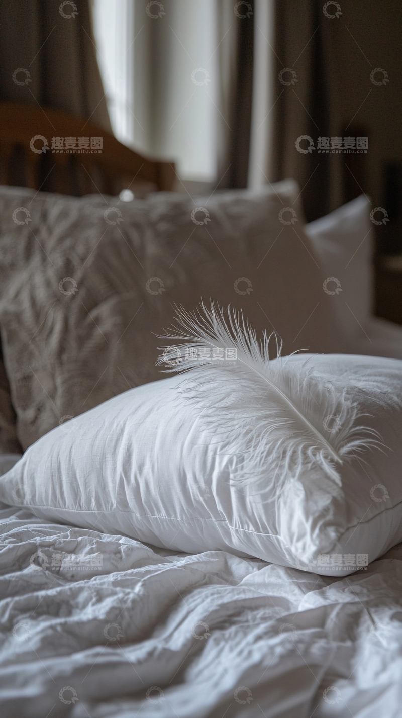 高清大图下载【趣麦麦图】床头枕头羽毛