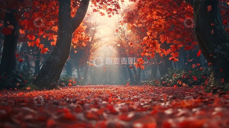 高清大图下载【趣麦麦图】秋日红叶林间小路