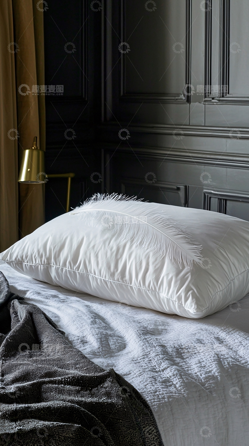 高清大图下载【趣麦麦图】白色床单上的白色枕头
