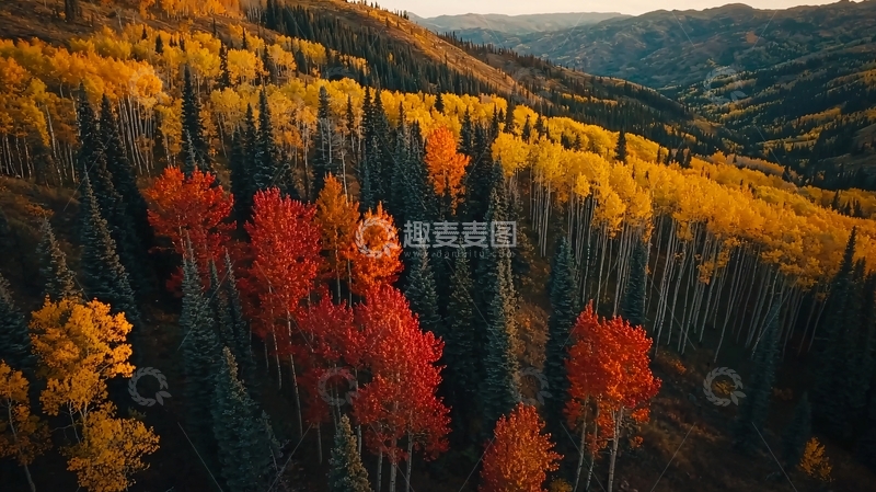 高清大图下载【趣麦麦图】秋日山林层林尽染