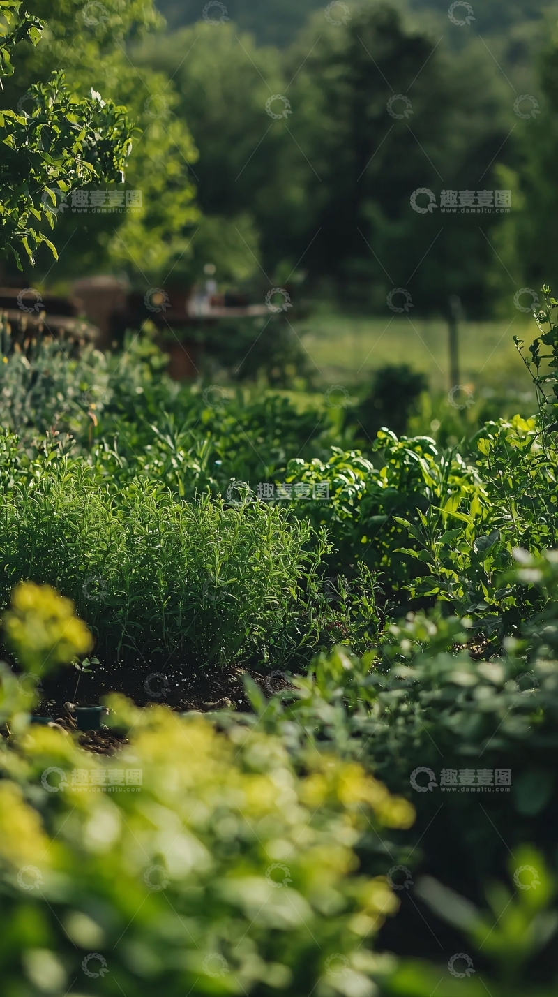 高清大图下载【趣麦麦图】郁郁葱葱的田园风光