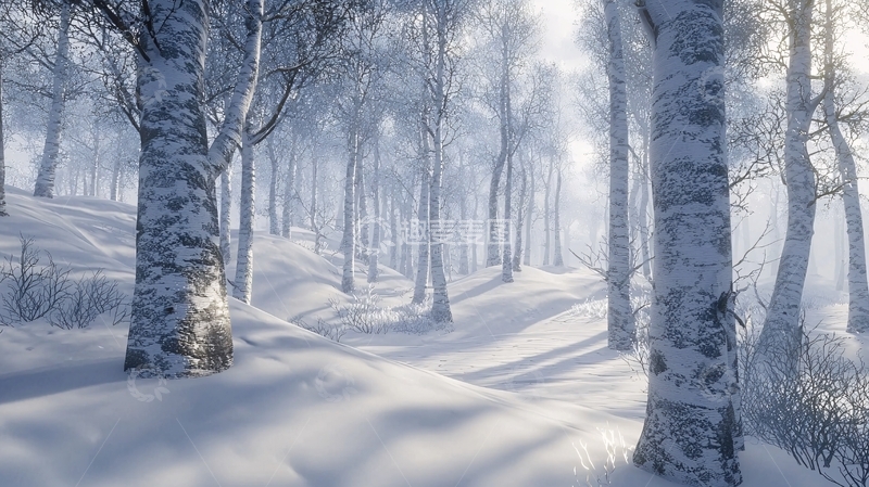 高清大图下载【趣麦麦图】冰雪覆盖的森林小径