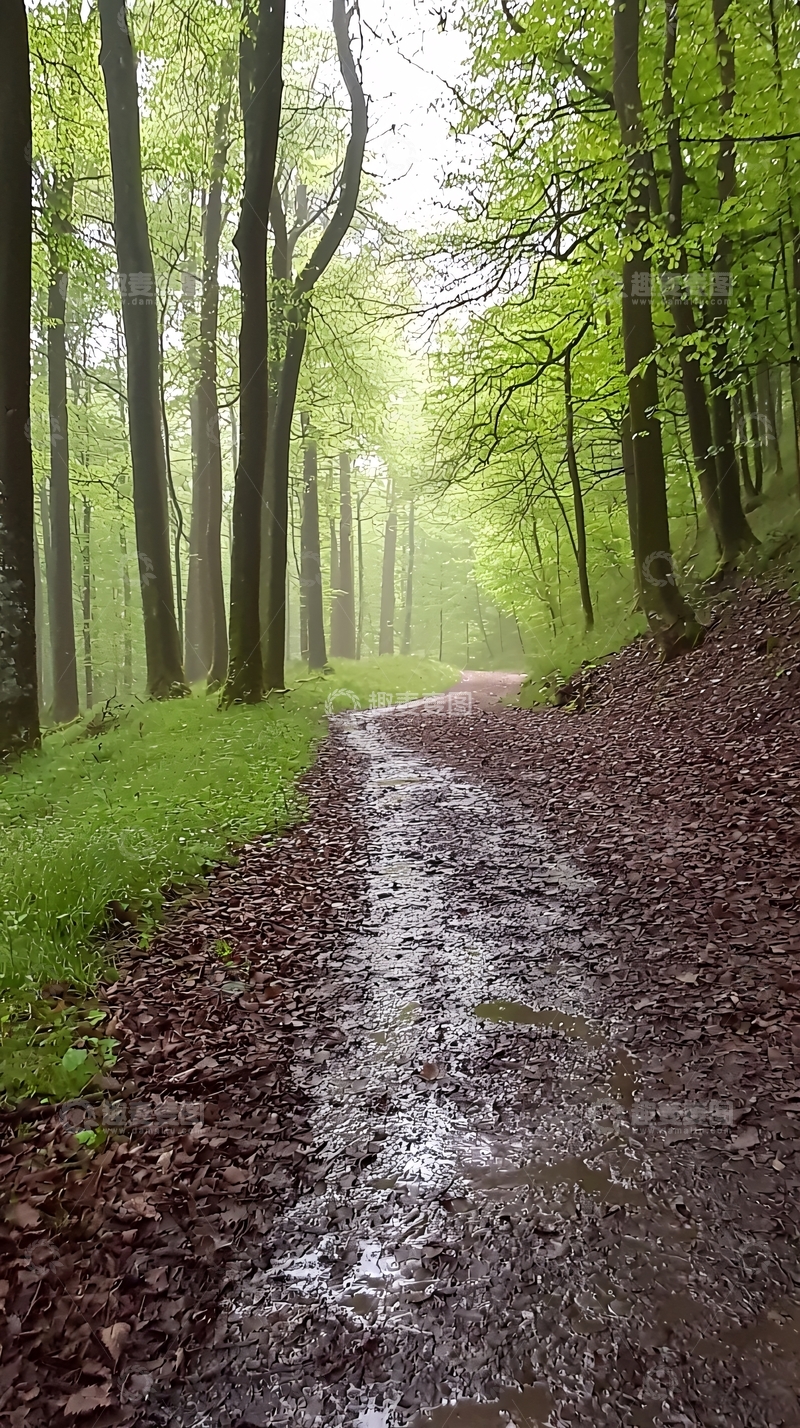 高清大图下载【趣麦麦图】森林小路