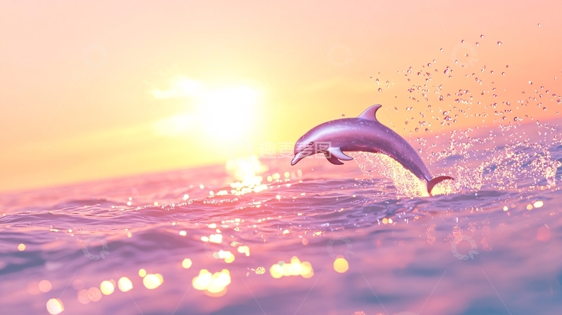 高清大图下载【趣麦麦图】粉色日落海豚跃出水面