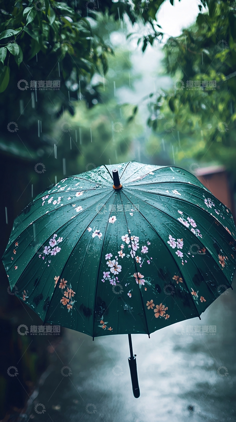 高清大图下载【趣麦麦图】雨中绿伞花纹