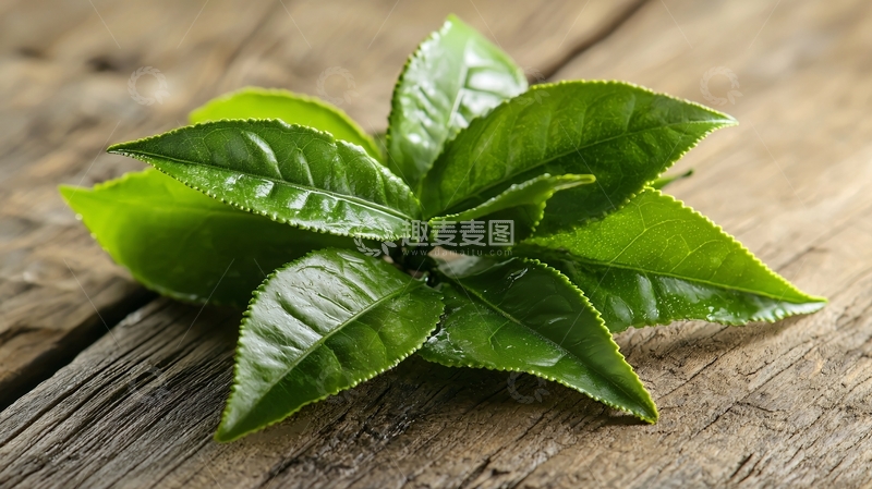 高清大图下载【趣麦麦图】绿茶嫩芽特写