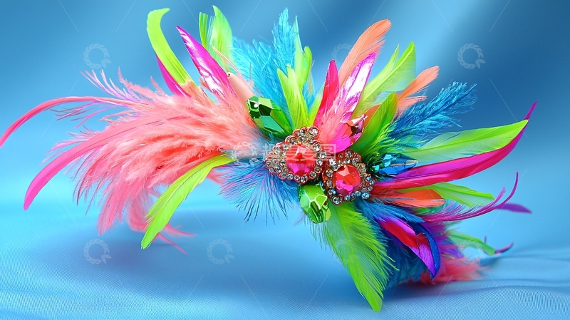 高清大图下载【趣麦麦图】霓虹色羽毛发饰