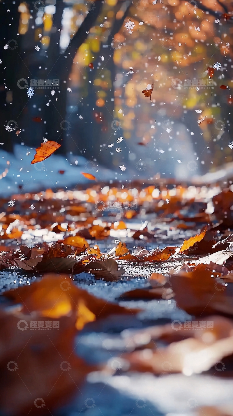 高清大图下载【趣麦麦图】初冬落叶雪地小路