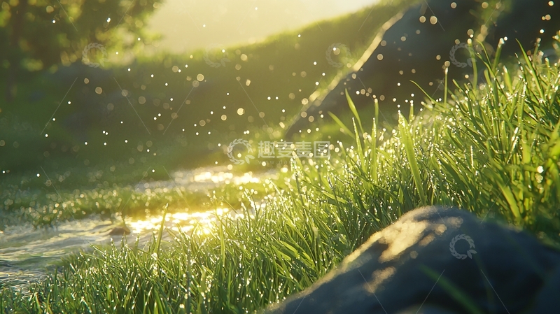 高清大图下载【趣麦麦图】清晨阳光下的溪流