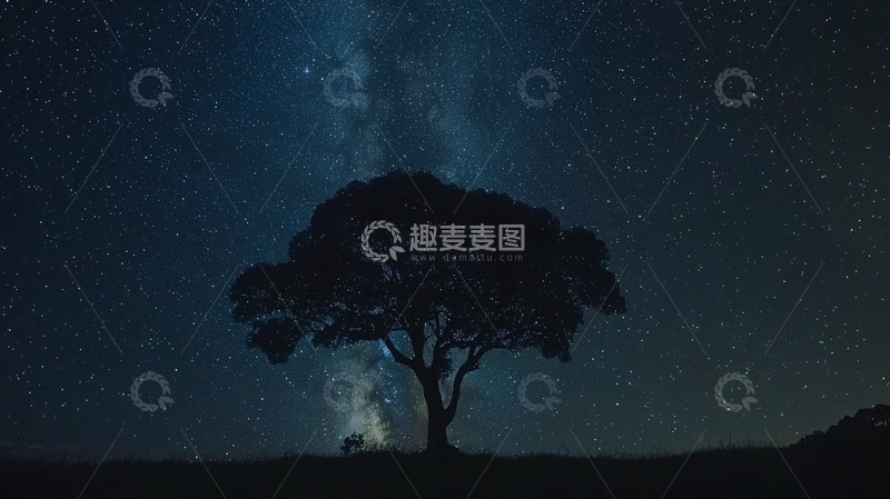 高清大图下载【趣麦麦图】星空下的树
