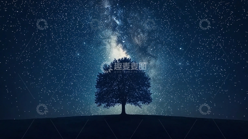 高清大图下载【趣麦麦图】星空下的孤独树