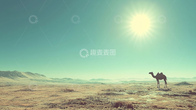 高清大图下载【趣麦麦图】沙漠骆驼剪影