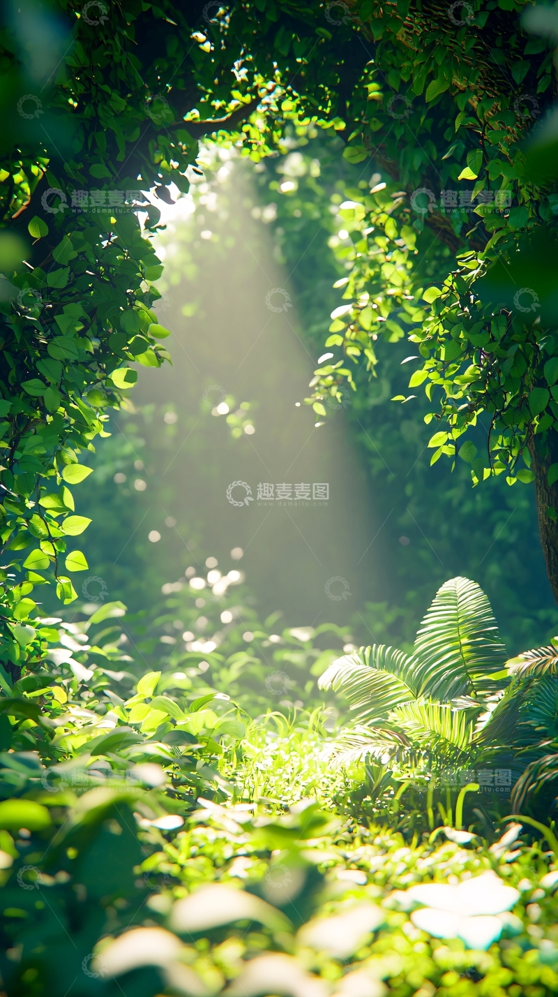 高清大图下载【趣麦麦图】阳光森林小路