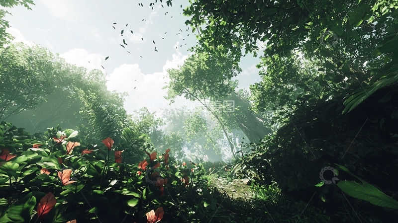 高清大图下载【趣麦麦图】阳光透过树林