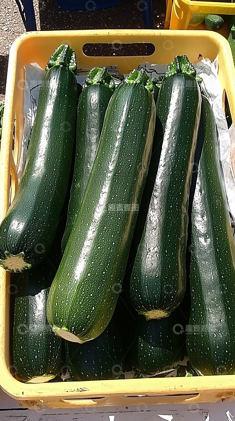 高清大图下载【趣麦麦图】新鲜翠绿长条西葫芦