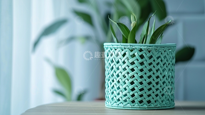 高清大图下载【趣麦麦图】绿植盆栽