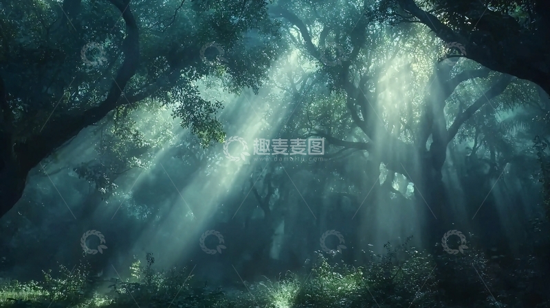 高清大图下载【趣麦麦图】森林光线