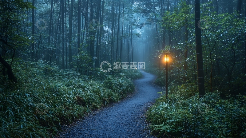 高清大图下载【趣麦麦图】雾气森林小路