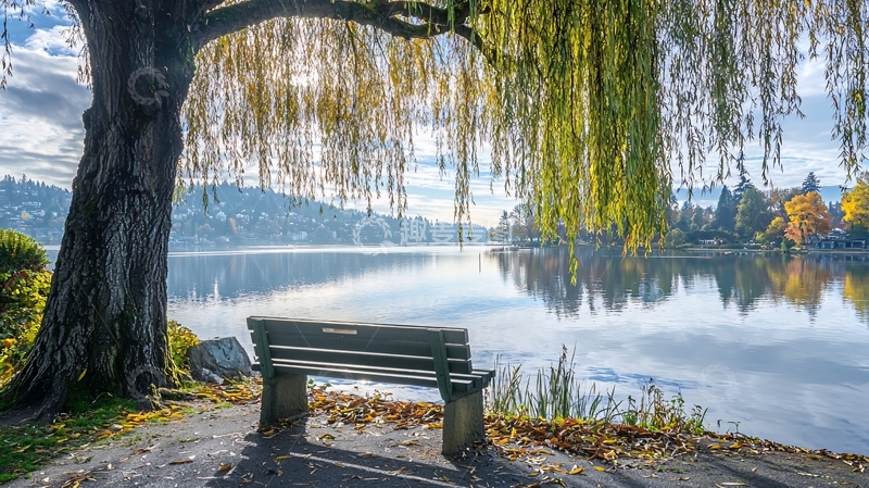 高清大图下载【趣麦麦图】秋日湖边长椅