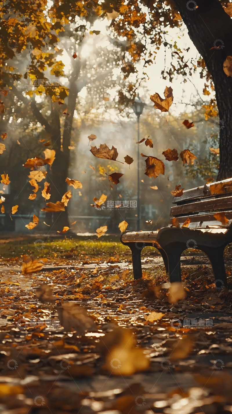 高清大图下载【趣麦麦图】秋日公园长椅落叶