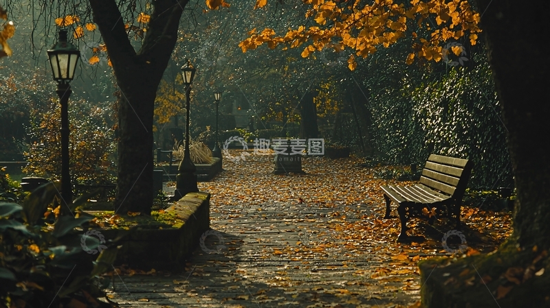 高清大图下载【趣麦麦图】秋日公园小路落叶