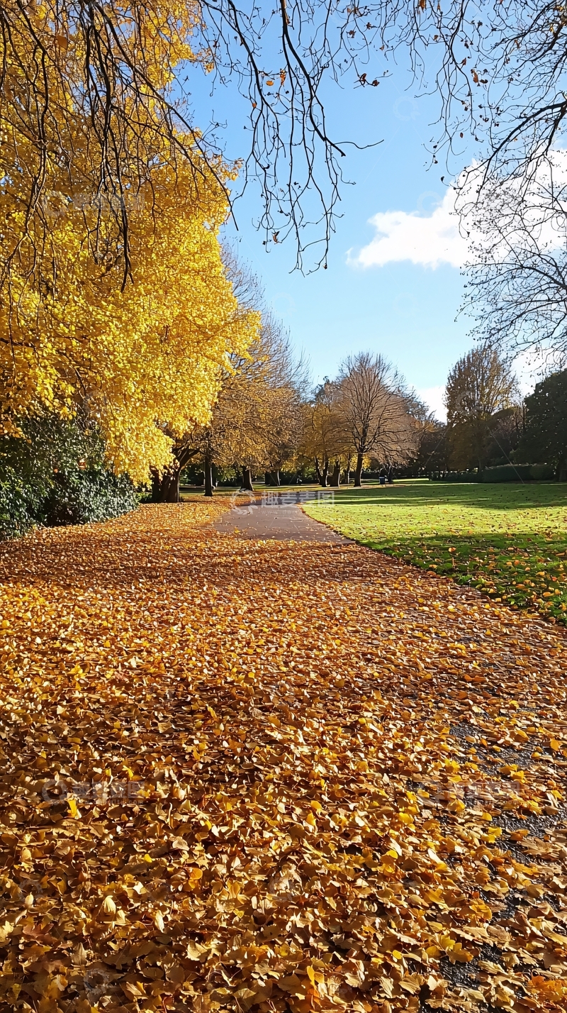 高清大图下载【趣麦麦图】秋日公园小路落叶