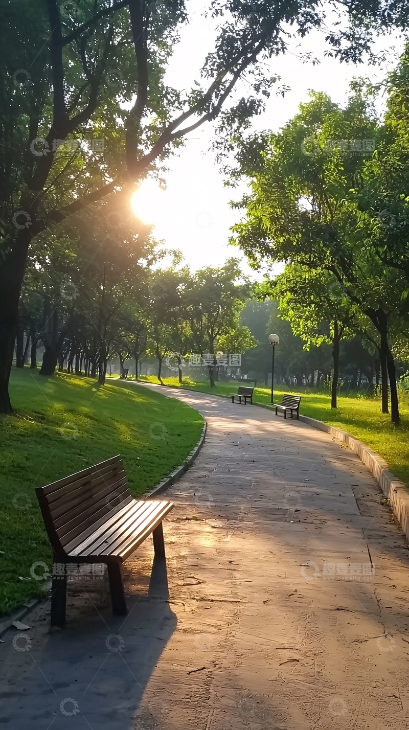 高清大图下载【趣麦麦图】清晨公园小路长椅