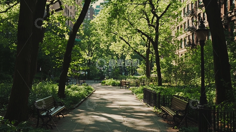 高清大图下载【趣麦麦图】阳光下的林荫小道