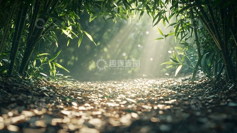 高清大图下载【趣麦麦图】阳光透过竹林小路
