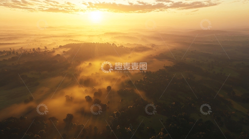 高清大图下载【趣麦麦图】日出雾气森林